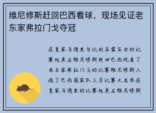 维尼修斯赶回巴西看球，现场见证老东家弗拉门戈夺冠